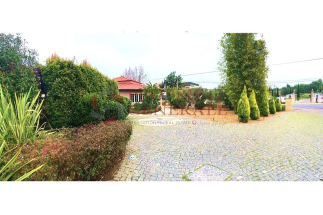 Restaurant/cafe for sale in Pereiras, Almancil, Loulé