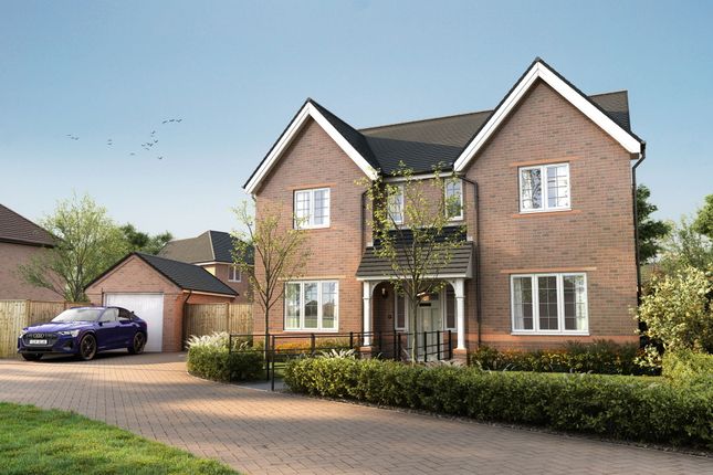 Thumbnail Detached house for sale in "The Peele" at Sandy Lane, New Duston, Northampton
