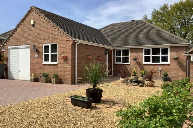 Thumbnail Bungalow for sale in Hall Wood Close, Swadlincote