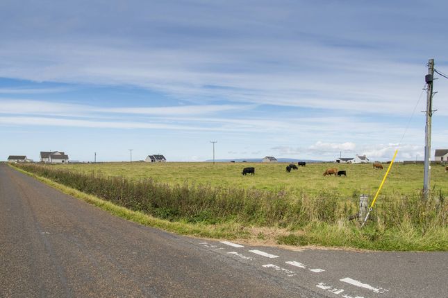 Land for sale in Harrow Road, Scarfskerry, Thurso, Highland