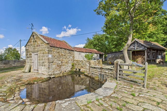 Hempsyke Hall, Littlebeck Lane, Whitby photo 4