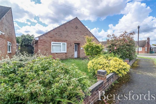 Thumbnail Bungalow for sale in Salcombe Road, Braintree