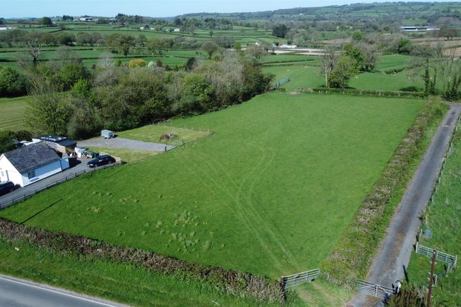 Ninant Rees, Llanllwni, Pencader photo 3