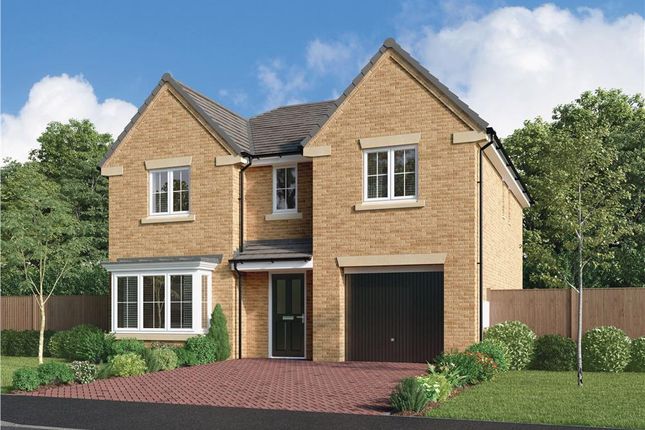 Thumbnail Detached house for sale in "The Denwood" at Elm Avenue, Pelton, Chester Le Street