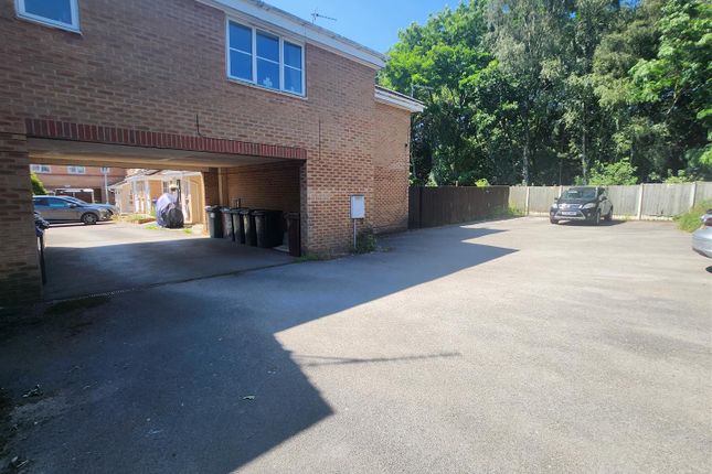 Rear Parking