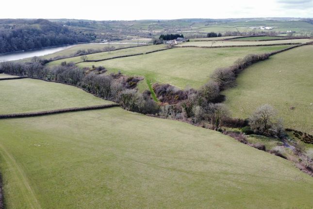 Adjoining Land