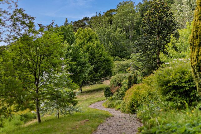 Path Through Gardens