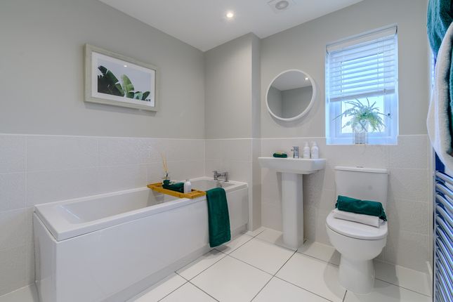 Plot 189, Parklands Village, Locking Parklands, Weston-Super-Mare photo 4