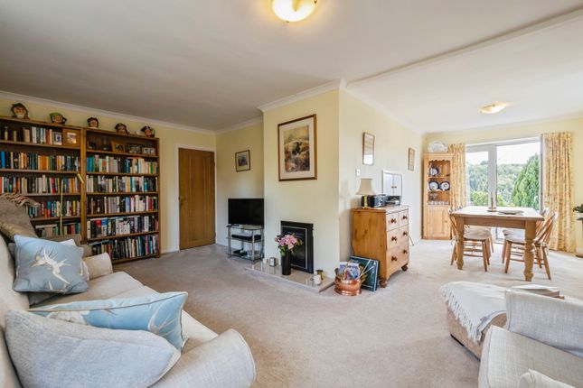 53, Argyll Road, Devon photo 3
