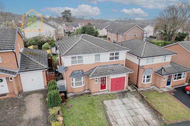 Thumbnail Detached house for sale in Greenbank Drive, Flint