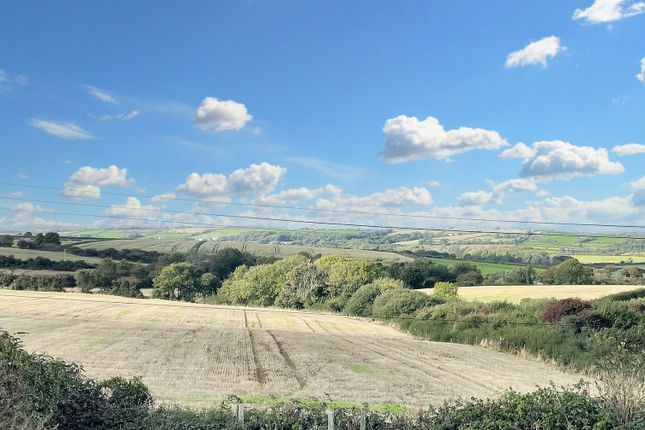Highfield, Pembroke photo 4