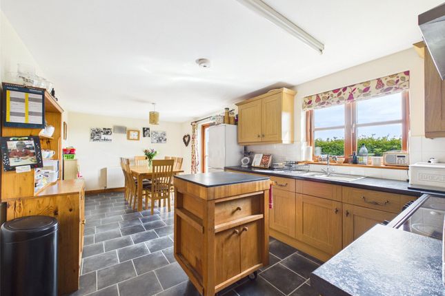 24, Paradise Park, Holsworthy photo 2