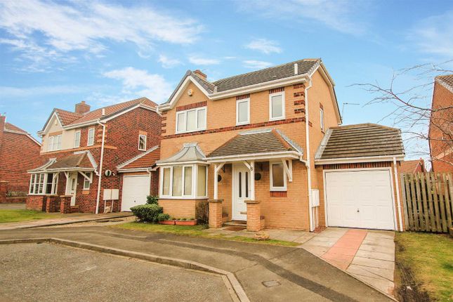 Thumbnail Detached house for sale in Robert Westall Way, North Shields