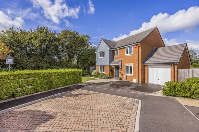 Thumbnail Detached house for sale in Shute Close, Hayling Island