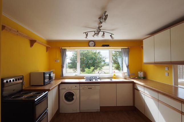 Nethermains Road, Muchalls, AB39, Aberdeenshire photo 4