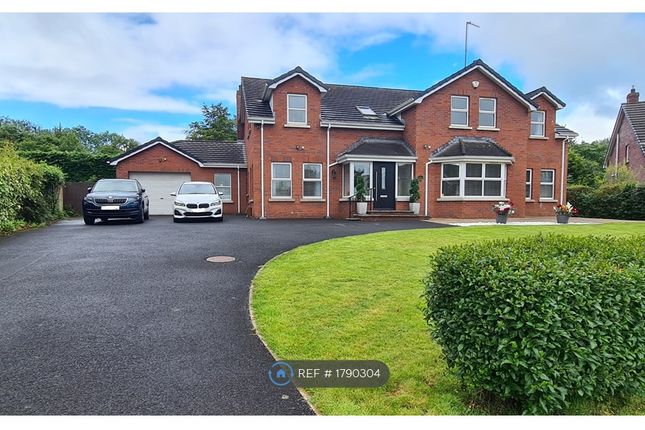 Thumbnail Detached house to rent in Beckett Avenue, Ballymoney