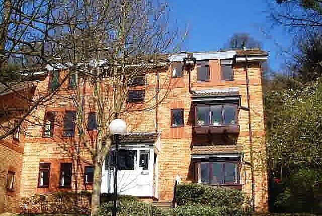 External (Main)