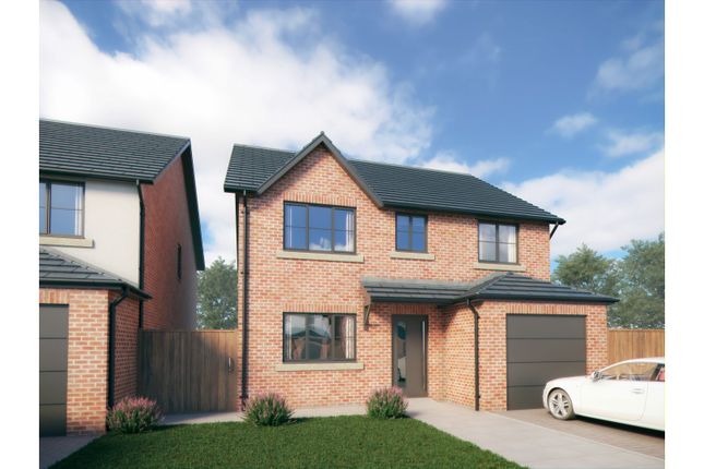 Thumbnail Detached house for sale in Mount View Drury Lane, Buckley