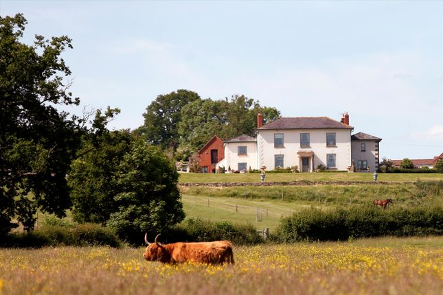 Thumbnail Detached house for sale in Chapel Lane, Redmarley, Gloucestershire