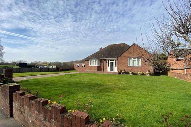 Thumbnail Bungalow to rent in 78 Old Street, Upton Upon Severn, Worcestershire