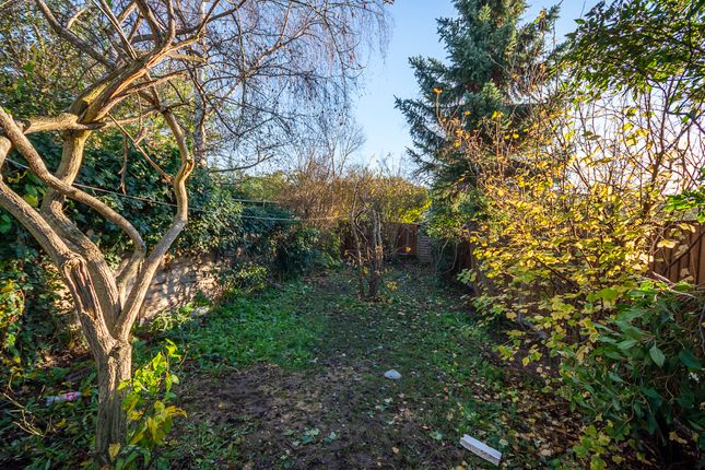 30, Haliburton Road, Twickenham photo 4