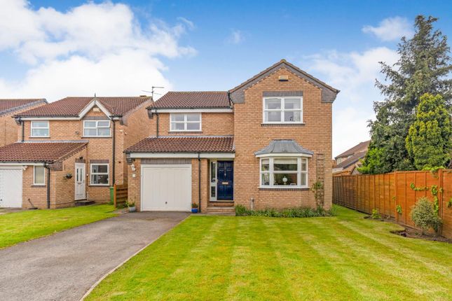 Thumbnail Detached house for sale in Winscar Grove, York