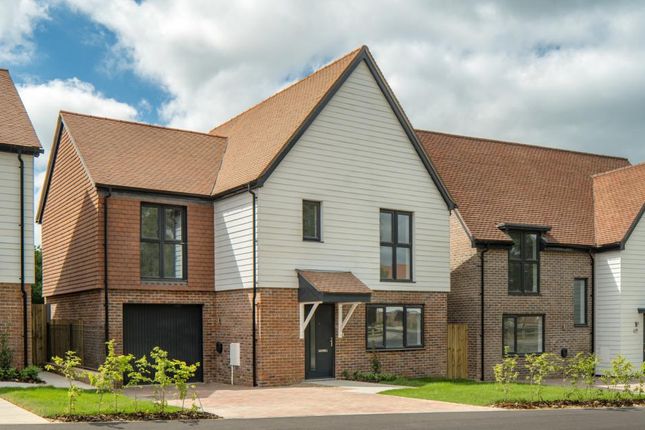 Dandara - Zoopla -