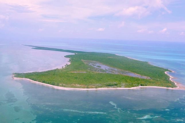 Thumbnail Land for sale in Strangers Cay, The Bahamas