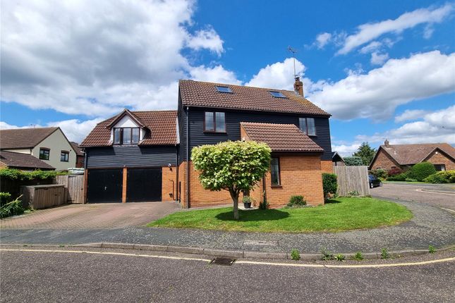 Thumbnail Detached house for sale in Bittern Close, Kelvedon, Essex