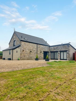 The Granary, Bridgend photo 2