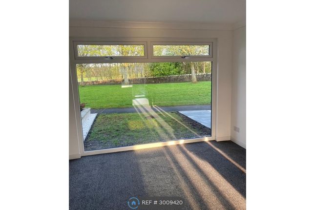Colonsay, St Leonards, East Kilbride, Glasgow photo 4