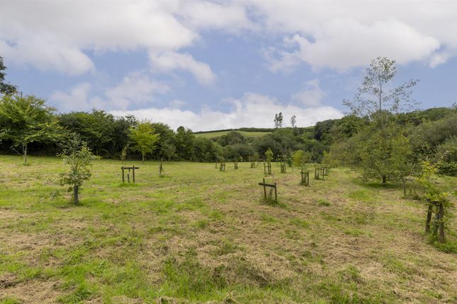 Ffynnonlas-Isaf-0055.Jpg
