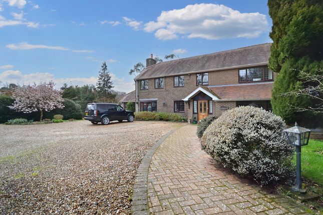 Thumbnail Detached house for sale in Homelea, Abbotswell Road, Blissford, Fordingbridge, Hampshire