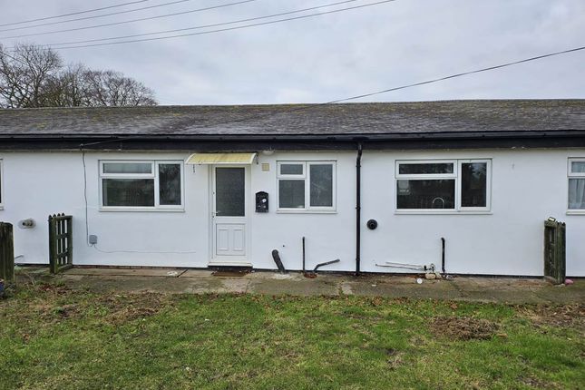 Thumbnail Semi-detached bungalow to rent in Barley Road, Heydon, Royston
