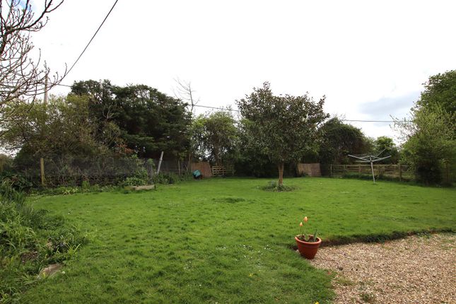 Detached house to rent in South Mundham, Chichester