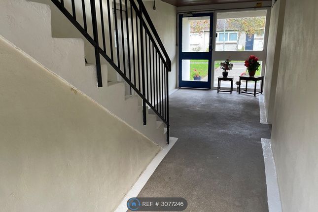 Uddingston, Glasgow photo 4