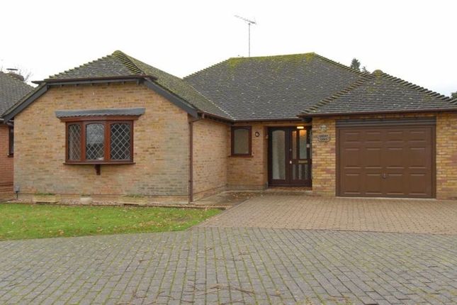 Thumbnail Bungalow to rent in Farriers Close, Woodley, Reading