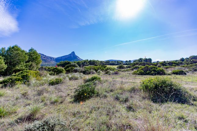 Land for sale in Colonia De Sant Pere, Colonia De Sant Pere, Majorca, Balearic Islands, Spain