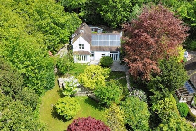 Thumbnail Detached house to rent in Marley Lane, Haslemere