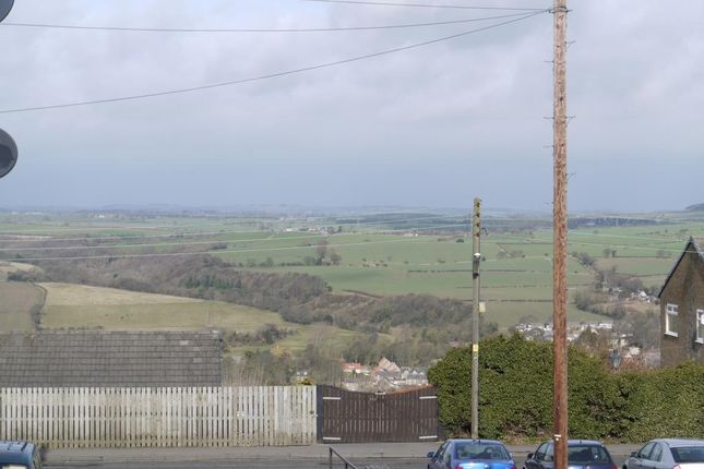 Tulip Street, Prudhoe photo 5