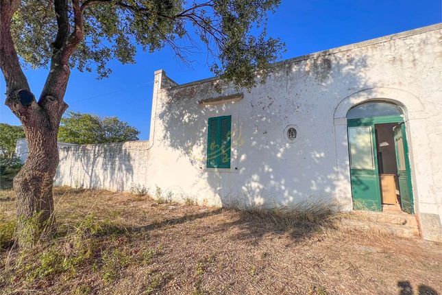 Land for sale in Conversano, Puglia, 70014, Italy