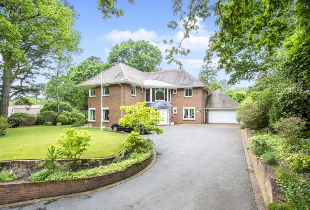 Thumbnail Detached House For Sale In The Avenue Westbourne Bournemouth Thumbnail Detached House For Sale In The Avenue Westbourne Bournemouth