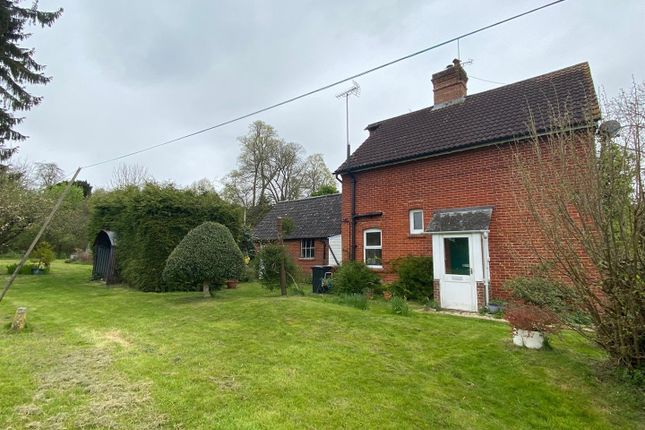 Thumbnail Detached house to rent in Sutton Scotney, Winchester