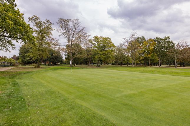 The Warren Drive, E11