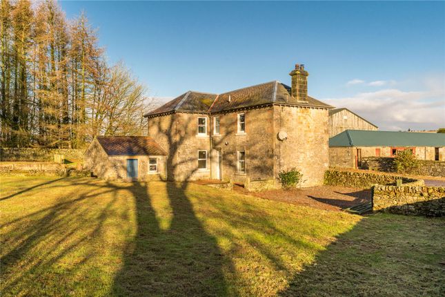 albierigg-farm-canonbie-dumfriesshire-dg14-land-for-sale-64052823