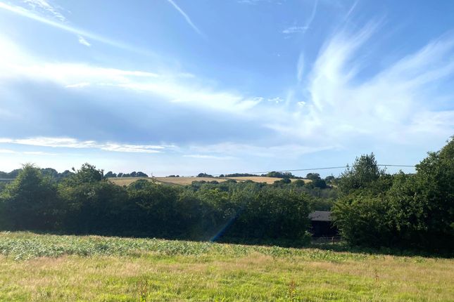 View From The Plot