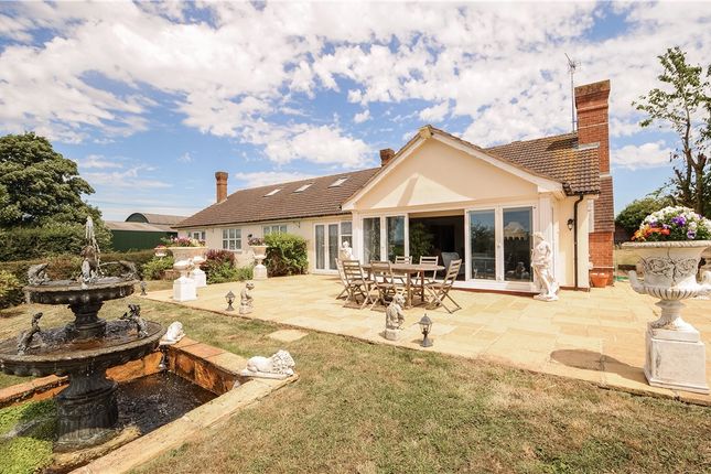 Thumbnail Bungalow for sale in Shuthonger, Tewkesbury, Gloucestershire