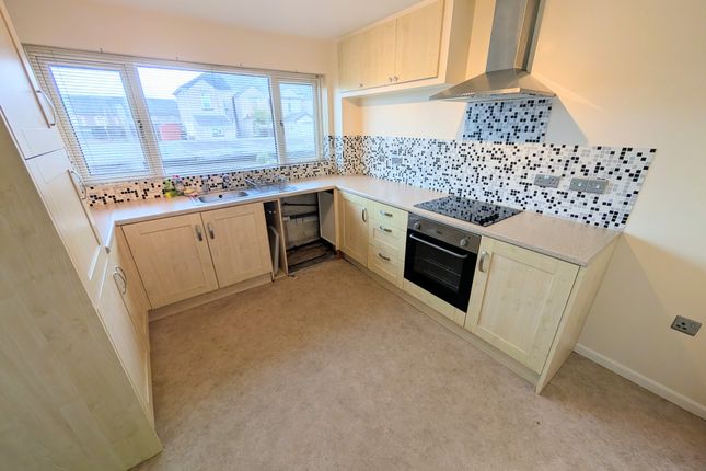 Pxl_20251111_140313636