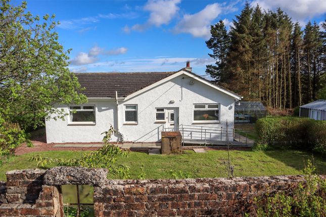 Thumbnail Bungalow for sale in Forth, Lanark, South Lanarkshire
