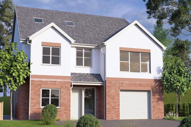 Dol Uchaf, Ruthin Road, Mold photo 4